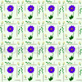 Flower Power